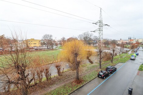 foto04_11274865_lny0c.jpg
