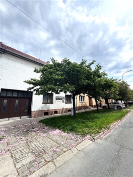 foto04_11319499_1gmn3k.jpg