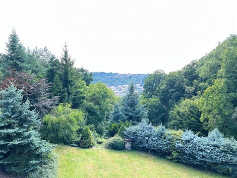 foto04_11368271_xzeto.jpg