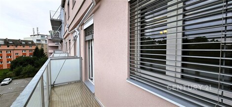 foto04_11373298_hsrlc.jpg