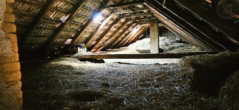 foto04_11379484_87hvw.jpg