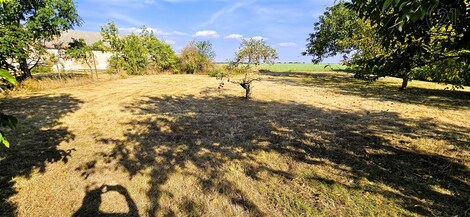 foto04_11379484_fmjuo.jpg