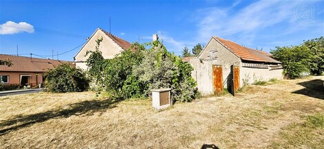 foto04_11379484_wblns.jpg
