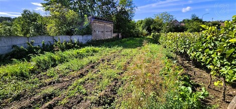 foto04_11382221_twn6k.jpg