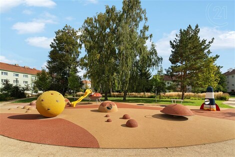 foto04_11383315_zr5f8.jpg