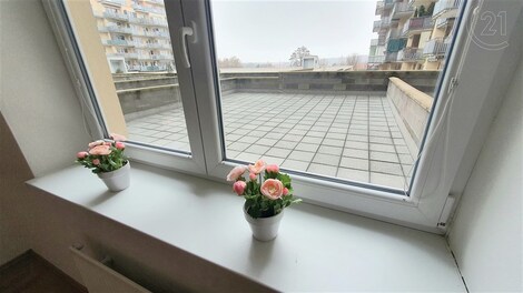 foto04_11384055_13lbyk.jpg