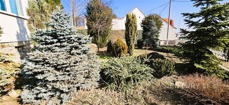 foto04_11463413_2c10.jpg
