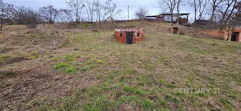 foto04_11467584_1ank4c.jpg