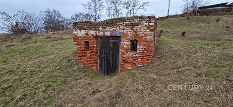 foto04_11467584_22lnc.jpg