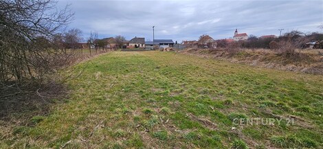 foto04_11467584_6tzeg.jpg