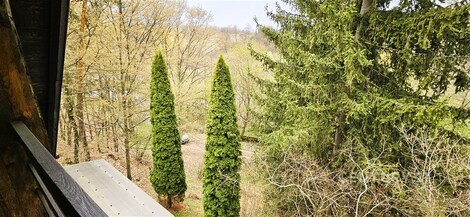 foto04_11479683_12v7ao.jpg