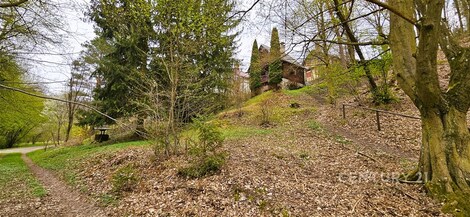 foto04_11479683_dfso.jpg