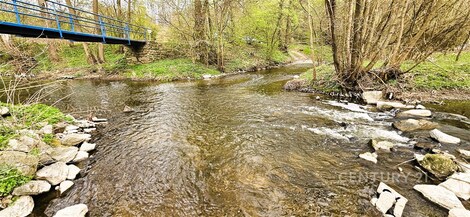 foto04_11479683_iqoqg.jpg