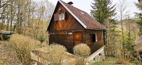 foto04_11479683_osqqg.jpg