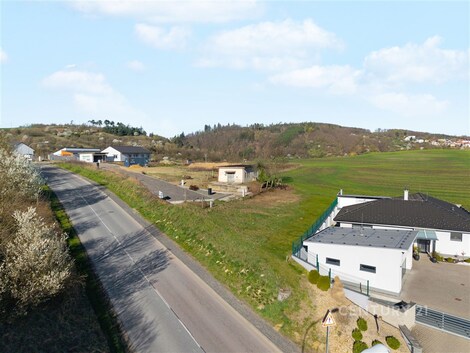 foto04_11497999_1b9phw.jpg