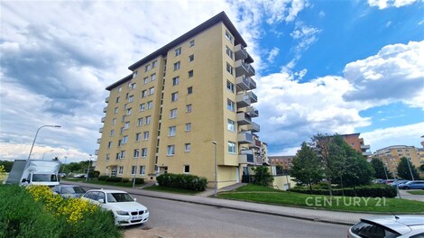 foto04_11498700_x2pfk.jpg