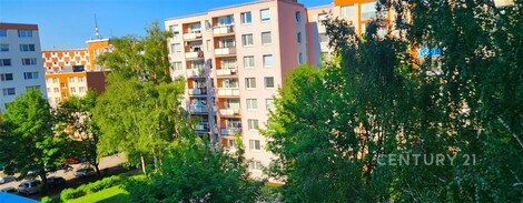 foto04_11507932_owosc.jpg