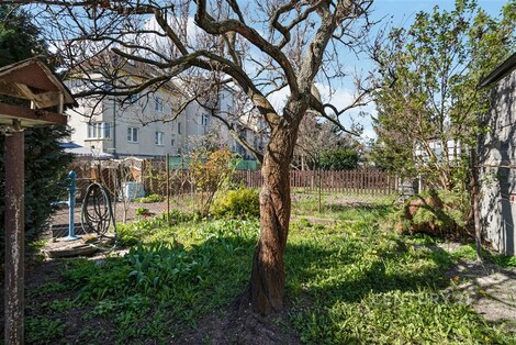 foto04_11548196_1gixaw.jpg
