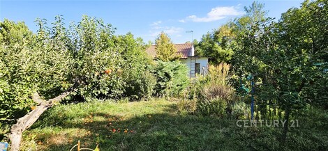 foto04_11548702_1m4uo4.jpg