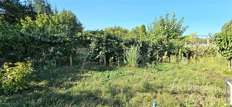 foto04_11548702_tj6ro.jpg