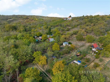 foto04_11564940_16zvuc.jpg