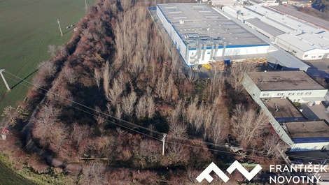foto05_11472359_70nug.jpg