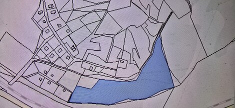 foto07_11218634_12088.jpg