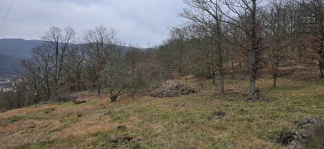 foto07_11218634_25366.jpg