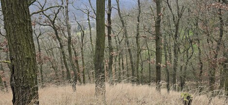 foto07_11218634_69732.jpg