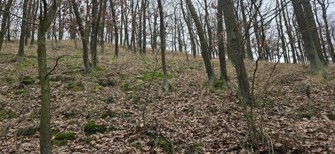 foto07_11218634_89388.jpg