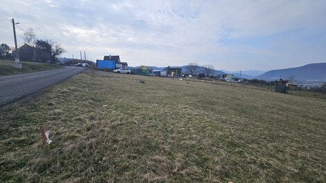 foto07_11468243_61739.jpg