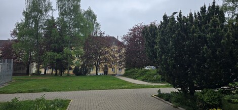 foto07_11499797_00375.jpg