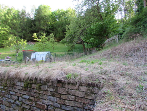 foto07_11508670_64256.jpg