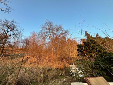 foto02_11463953_1rx5o.jpg