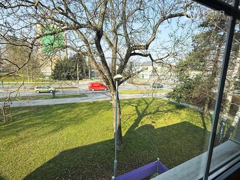 foto02_11484136_f3zpw.jpg