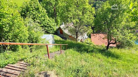 foto02_11504804_wzya4.jpg