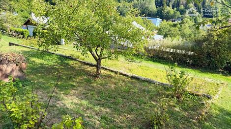 foto02_11545599_twcx4.jpg