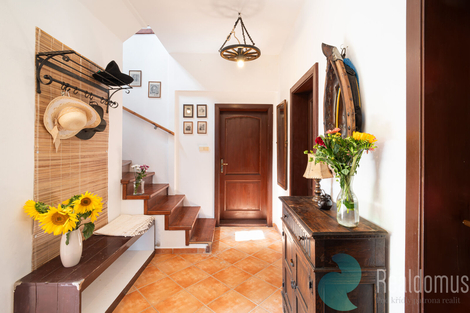 foto16_11536858_39386.jpg