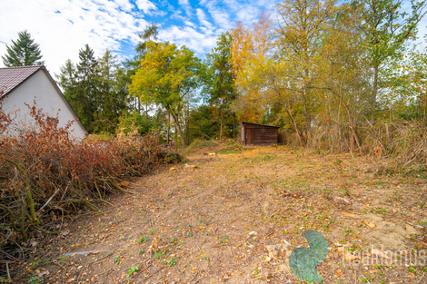 foto16_11568310_97181.jpg