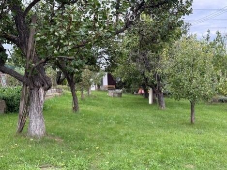 foto02_11393649_im1zo.jpg