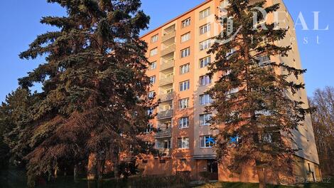 foto02_11371027_vnqms.jpg