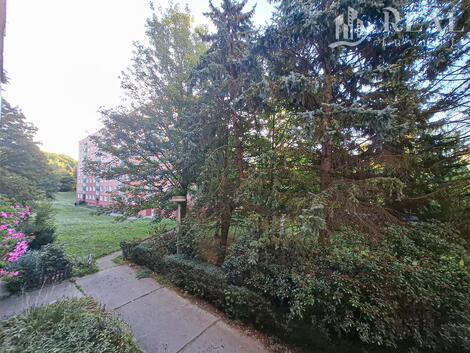 foto02_11382638_19xxcw.jpg