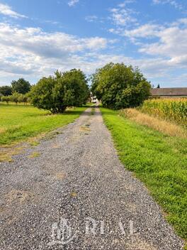 foto02_11562597_3i0f4.jpg