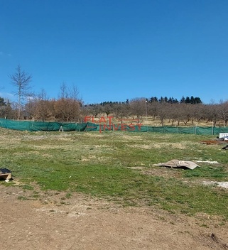 foto05_11083662_3e8nm.jpg