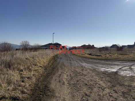 foto05_11190296_4nta6.jpg