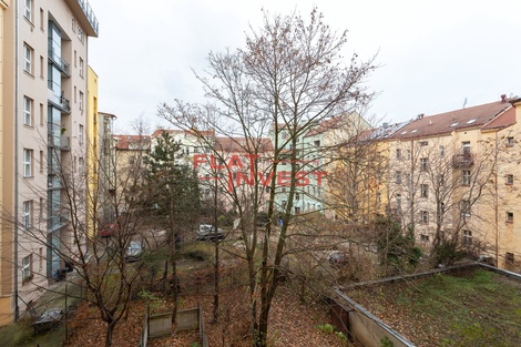 foto05_11354669_1fou8.jpg