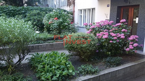 foto05_11496182_2m7bc.jpg