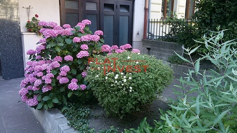 foto05_11496182_7plns.jpg