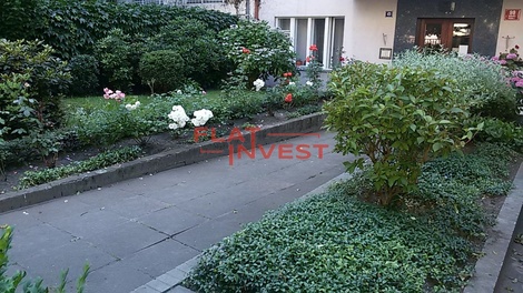 foto05_11496182_dem6.jpg