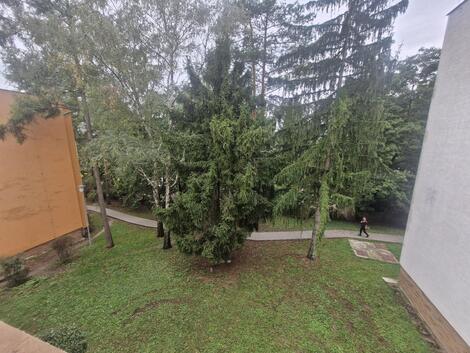foto02_11556644_vp2s4.jpg
